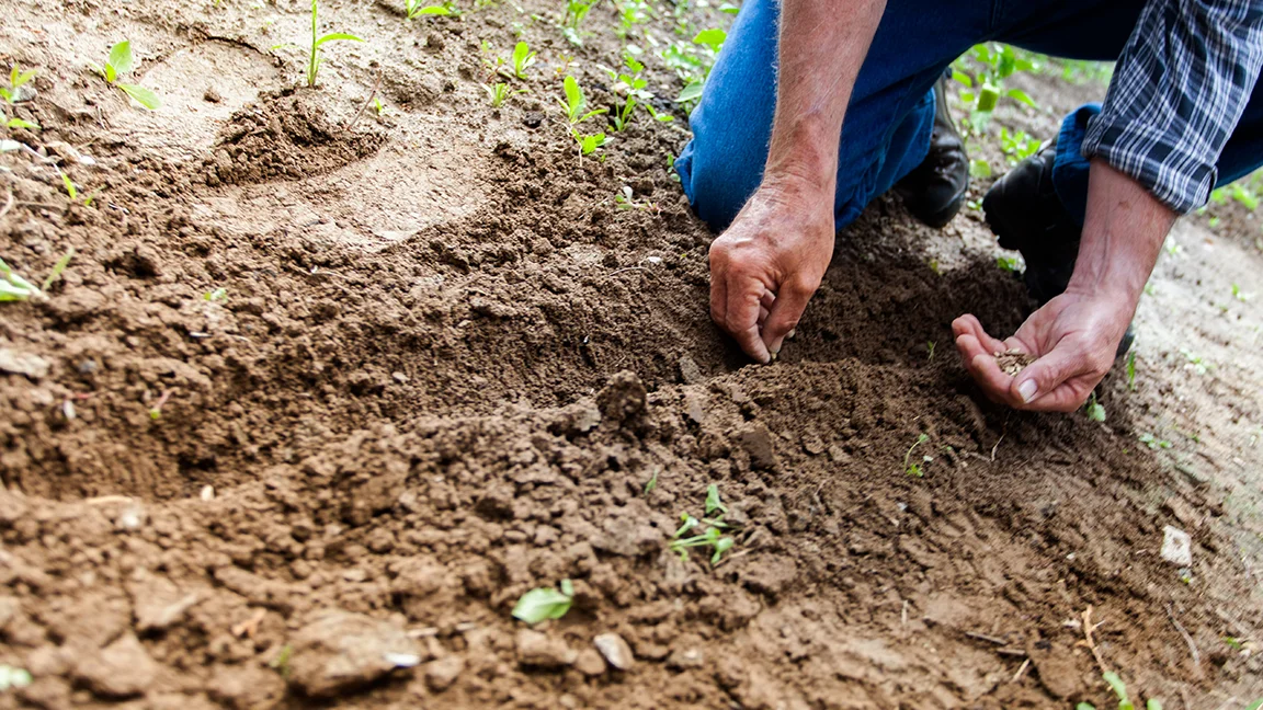 Tendencias - Características del Régimen Especial Agrario