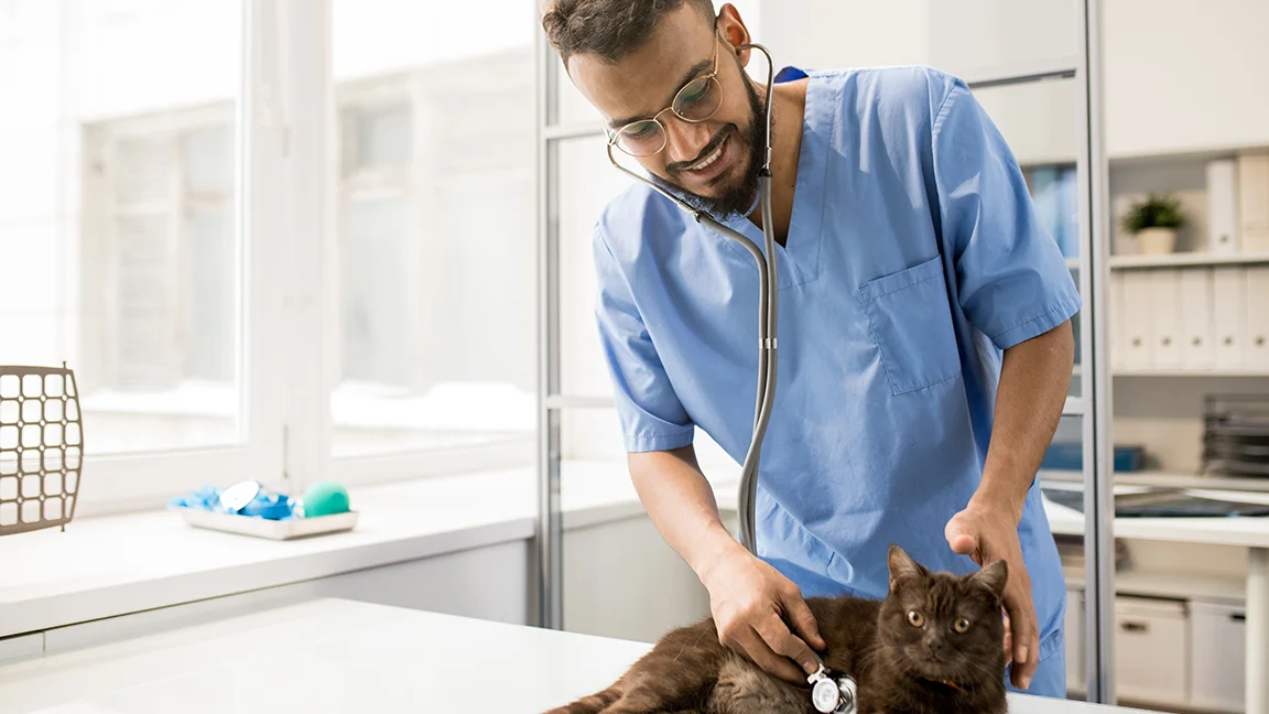 ¿Dónde estudiar el grado de veterinaria?